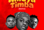 Whozu Ft Billnass, Mbosso - Ameyatimba Remix