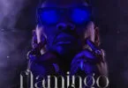 Ben Pol Ft Darassa - Show Off