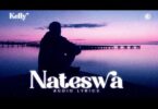 Kelly Tz - Nateswa