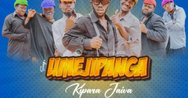 Kipara Jaiva - Umejipanga