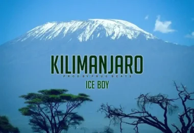 Ice Boy - Kilimanjaro