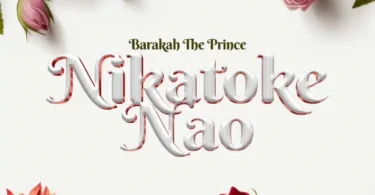 Barakah The Prince - Nikatoke Nao