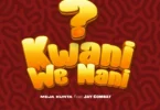 Meja Kunta - Kwani We Nani