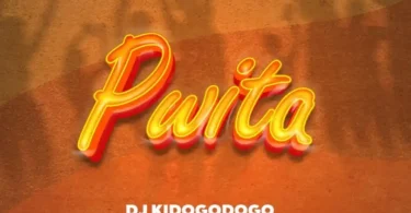 Dj Kidogodogo - Pwita