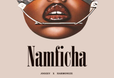 Joozey Ft Harmonize - Namficha