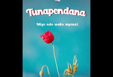 D Voice Ft Mbosso - Tunapendana