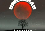 Immu Jay - Umesahau