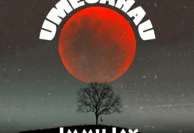 Immu Jay - Umesahau