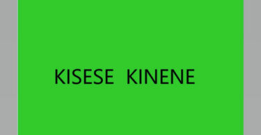 Kisese Kinene - Kaa Nami