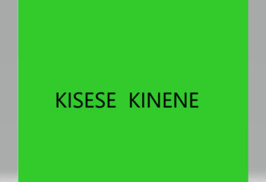 Kisese Kinene - Kaa Nami