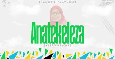 Diamond Platnumz - Anatekeleza