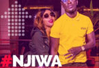 Willy Paul Ft Nandy - Njiwa