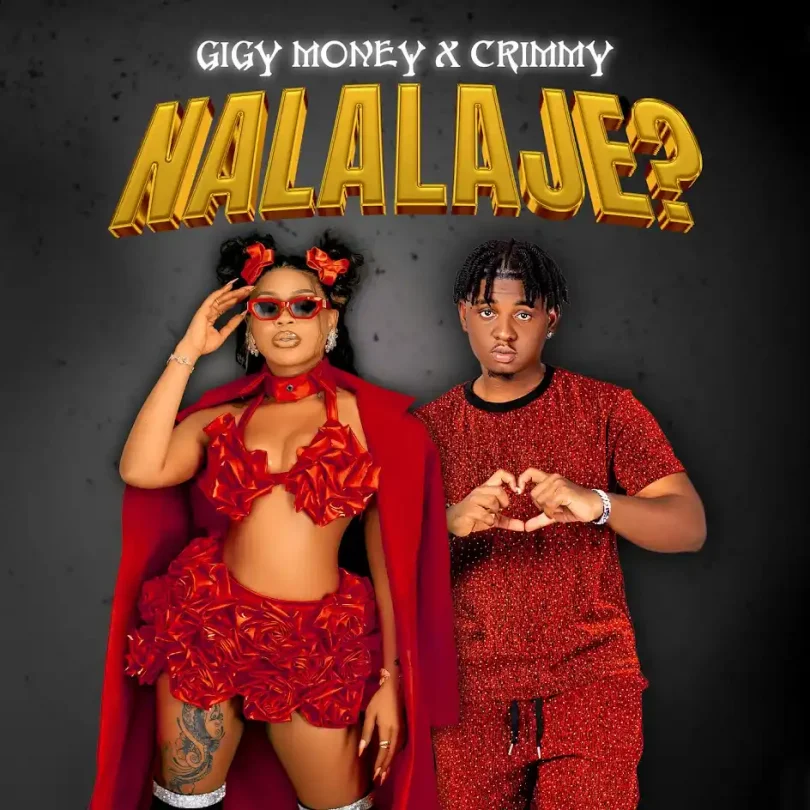 Gigy Money Ft Crimmy - Nalalaje