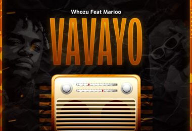 Whozu Ft Marioo - Vavayo