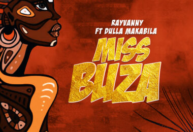 Rayvanny Ft Dulla Makabila - Miss Buza